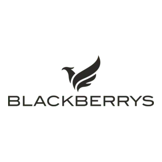 Blackberrys - Shubindia Ad Works Client